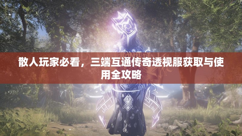 散人玩家必看，三端互通传奇透视服获取与使用全攻略