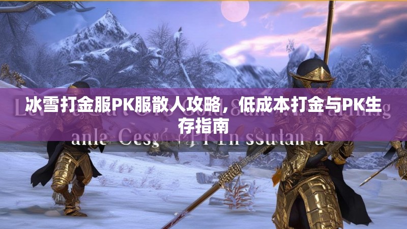 冰雪打金服PK服散人攻略，低成本打金与PK生存指南
