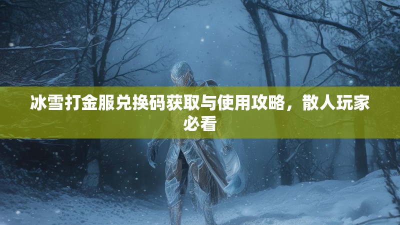 冰雪打金服兑换码获取与使用攻略，散人玩家必看