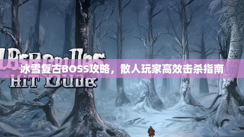 冰雪复古BOSS攻略，散人玩家高效击杀指南