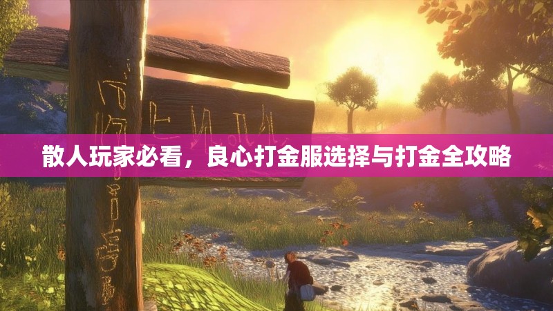 散人玩家必看，良心打金服选择与打金全攻略