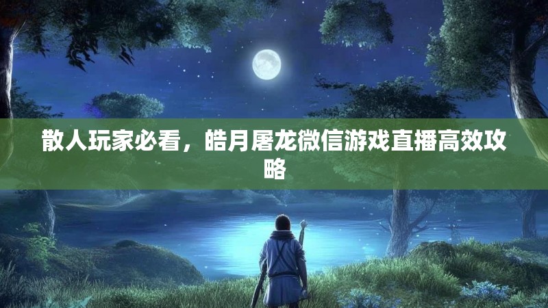 散人玩家必看，皓月屠龙微信游戏直播高效攻略