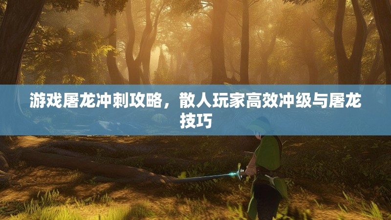 游戏屠龙冲刺攻略，散人玩家高效冲级与屠龙技巧