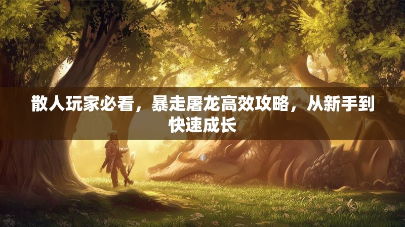 散人玩家必看，暴走屠龙高效攻略，从新手到快速成长