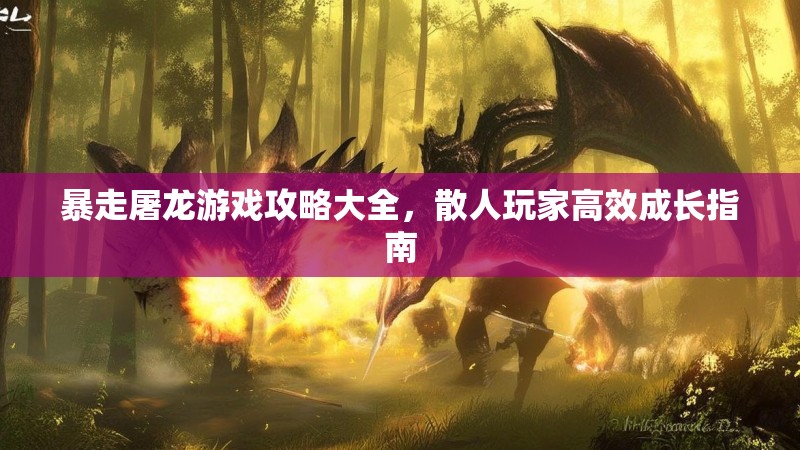 暴走屠龙游戏攻略大全，散人玩家高效成长指南