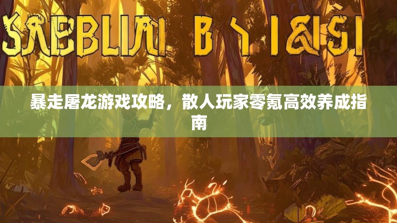 暴走屠龙游戏攻略，散人玩家零氪高效养成指南