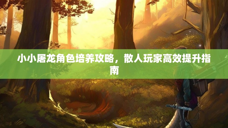 小小屠龙角色培养攻略，散人玩家高效提升指南