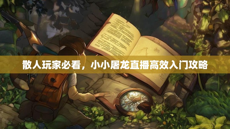散人玩家必看，小小屠龙直播高效入门攻略