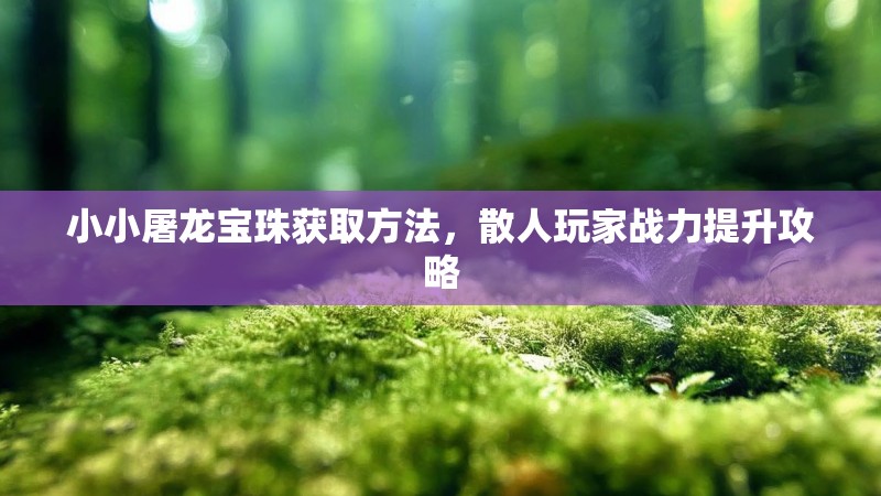 小小屠龙宝珠获取方法，散人玩家战力提升攻略