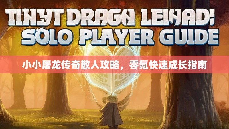 小小屠龙传奇散人攻略，零氪快速成长指南