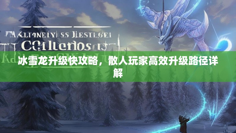 冰雪龙升级快攻略，散人玩家高效升级路径详解