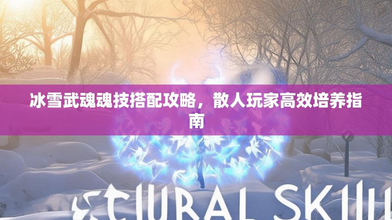 冰雪武魂魂技搭配攻略，散人玩家高效培养指南