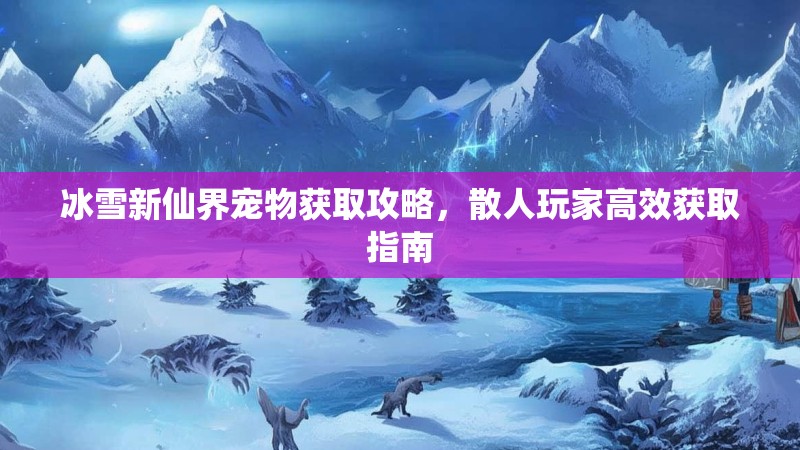 冰雪新仙界宠物获取攻略，散人玩家高效获取指南