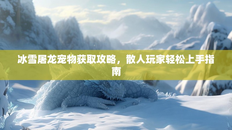 冰雪屠龙宠物获取攻略，散人玩家轻松上手指南
