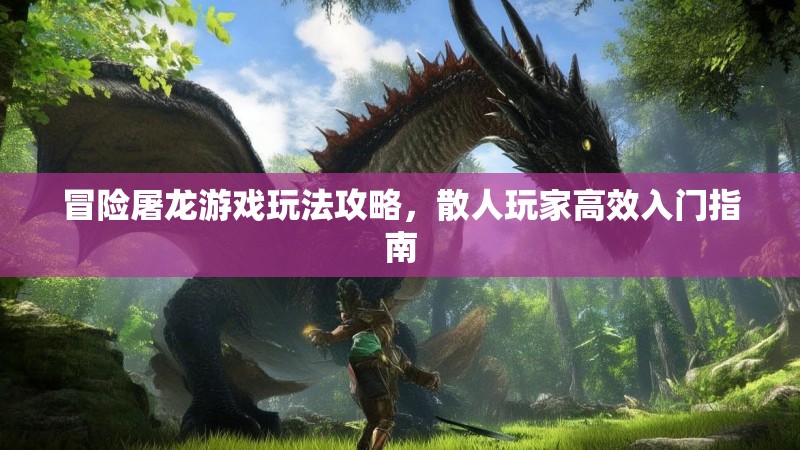 冒险屠龙游戏玩法攻略，散人玩家高效入门指南
